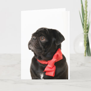 Black pug  with red bow holiday card