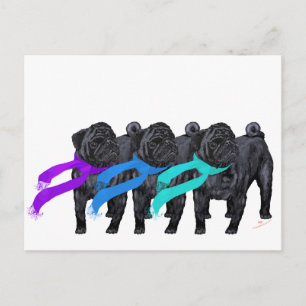 Black Pugs in Scarves Postcard