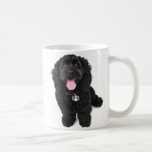 Black puppy looking up coffee mug