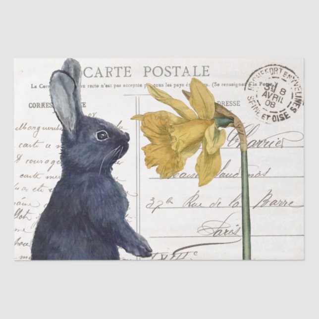 Black Rabbit Daffodil Easter Flower Carte Postale  Tissue Paper (Front)