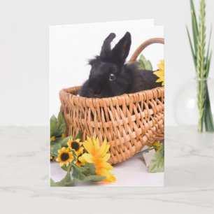 black rabbit holiday card