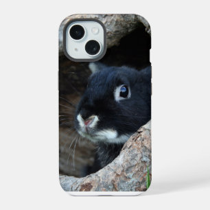 Black Rabbit in Hollow of a Tree iPhone 15 Case
