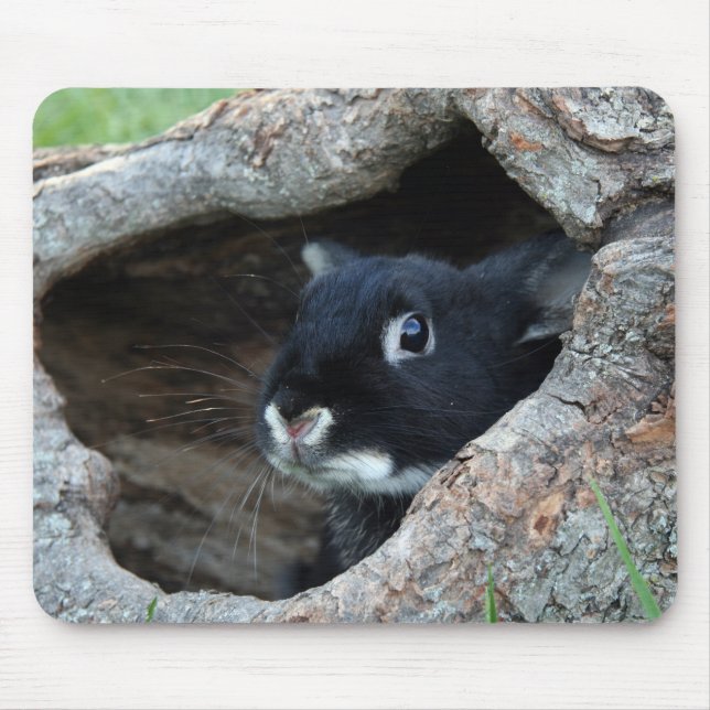 Black Rabbit in Hollow of a Tree Mouse Mat (Front)
