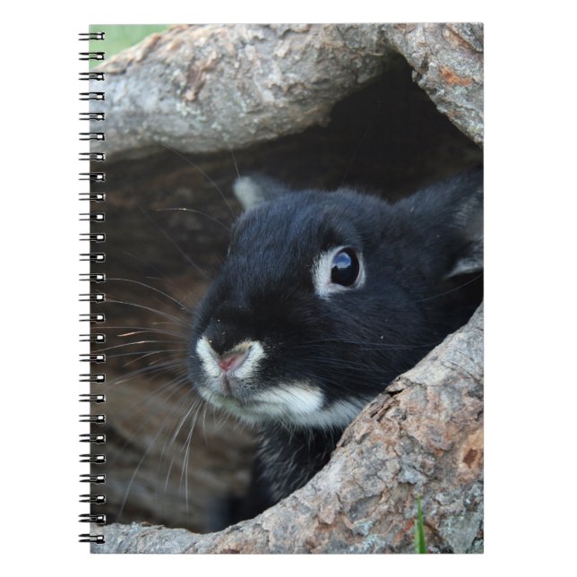 Black Rabbit in Hollow of a Tree Notebook (Front)