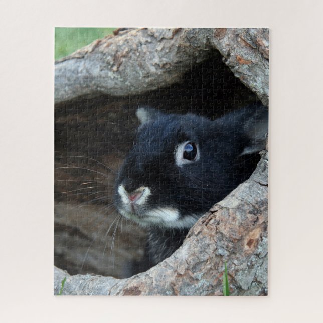 Black Rabbit in Hollow of a Tree Photo Jigsaw Puzzle (Vertical)