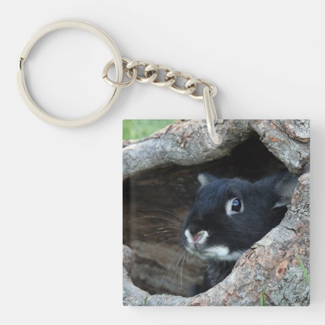 Black Rabbit in Hollow of a Tree Photo Key Ring (Front)