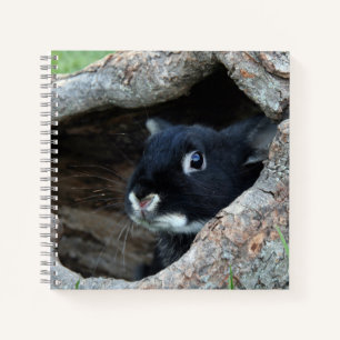 Black Rabbit in Hollow of a Tree Photo Notebook