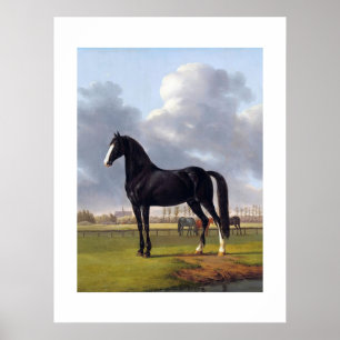 Black Race Horse circa 1828 Poster