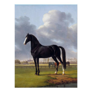 Black Race Horse circa 1828 Poster