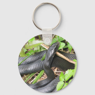 Black Racer Snake Sunning Key Ring