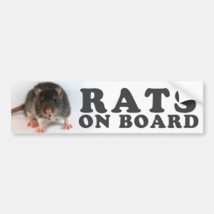 (Black) Rats on board Bumper Sticker