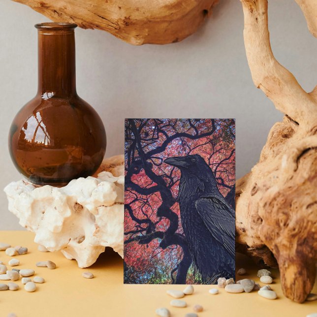 Black Raven and Gnarly Japanese Maple Tree Card (Creator Uploaded)