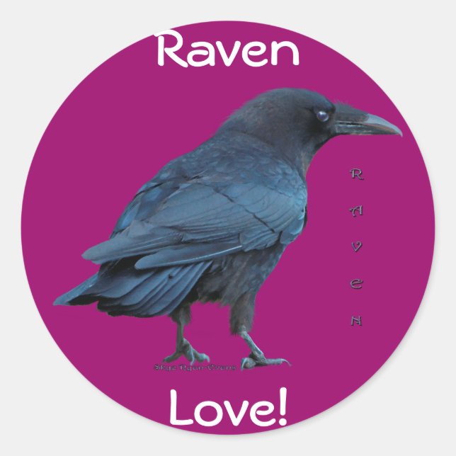 Black Raven Collection III Classic Round Sticker (Front)