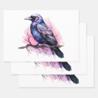 Black Raven on a Branch Illustration