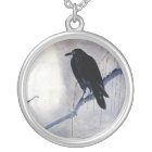 black raven wild bird nature sunrise