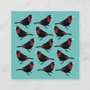 Black Red Crimson-Collared Tanager Bird Songbird Square Business Card