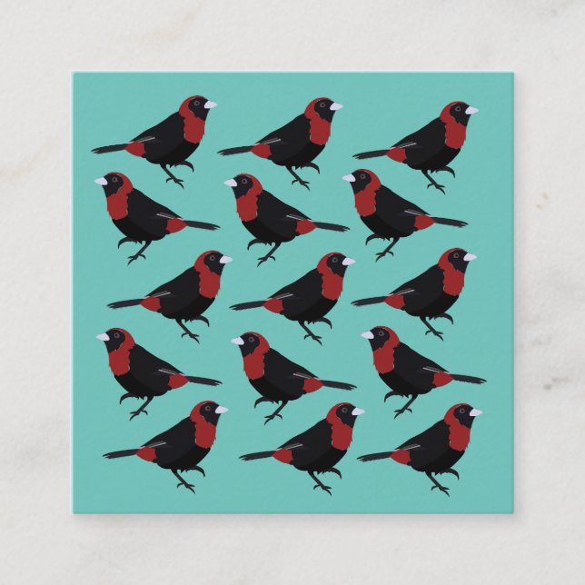 Black Red Crimson-Collared Tanager Bird Songbird Square Business Card (Front)