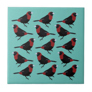 Black Red Crimson-Collared Tanager Bird Songbird  Tile