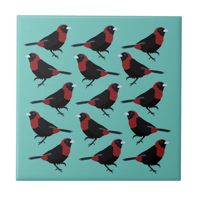 Black Red Crimson-Collared Tanager Bird Songbird  Tile (Front)