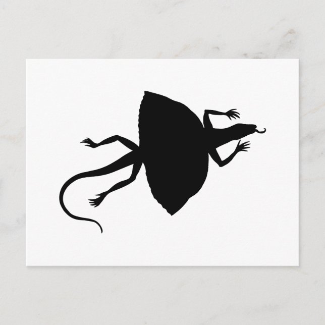 Black reptile postcard (Front)