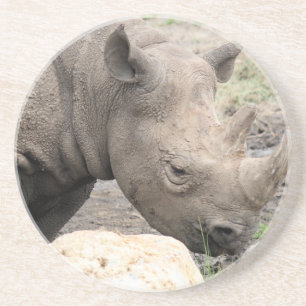 Black rhino coaster