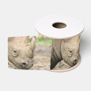 Black rhino grosgrain ribbon
