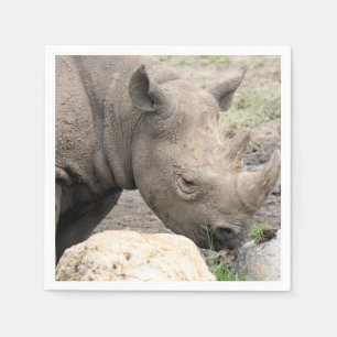 Black rhino napkin