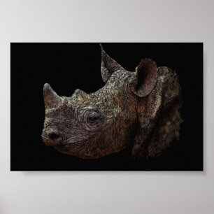 Black Rhino Poster
