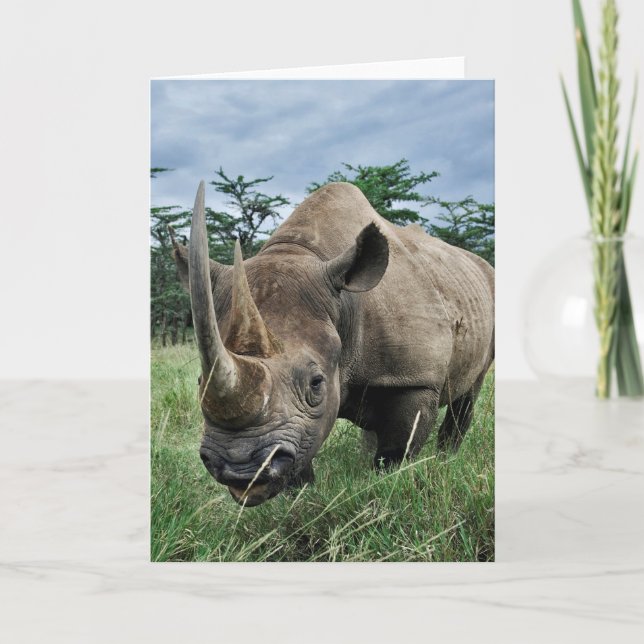 Black Rhinoceros | Kenya Card (Front)