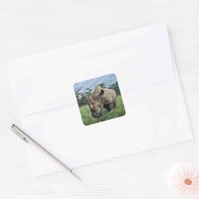 Black Rhinoceros | Kenya Square Sticker (Envelope)