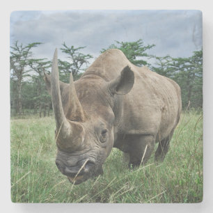 Black Rhinoceros   Kenya Stone Coaster