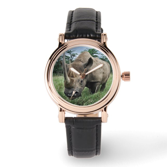 Black Rhinoceros | Kenya Watch (Front)