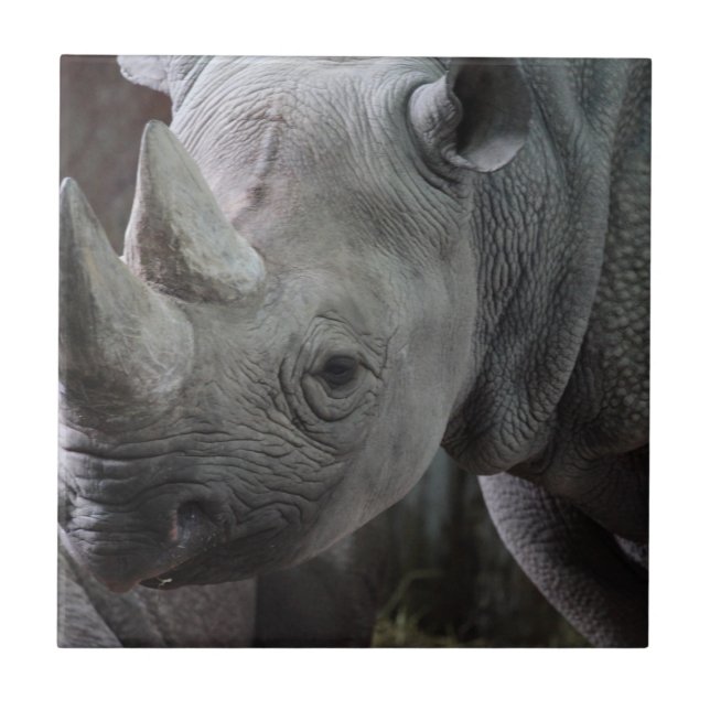 Black Rhinoceros Photo Tile (Front)