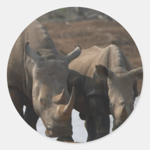 Black Rhinos Sticker