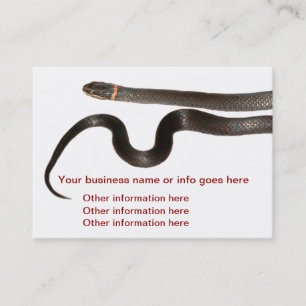 Black ring necked snake Business Cards