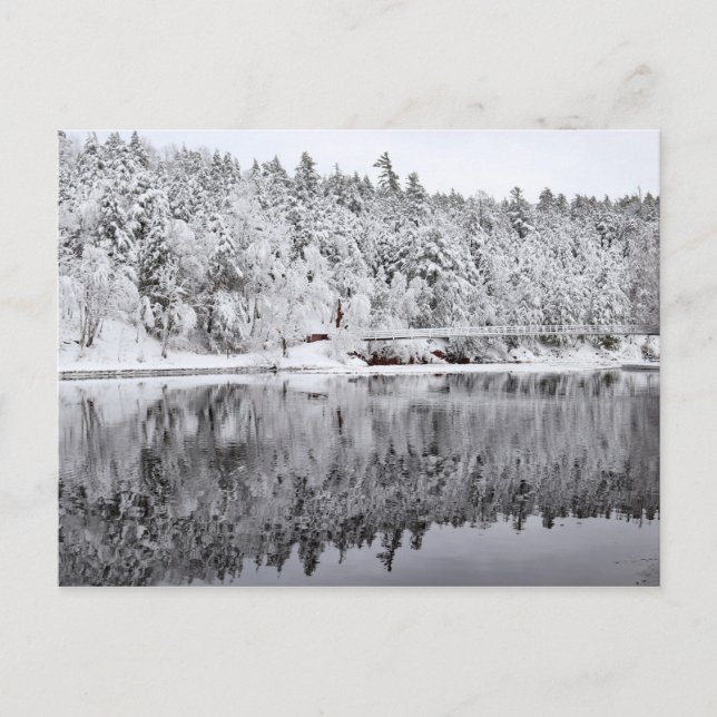 Black River Harbour Bridge, Michigan Postcard (Front)