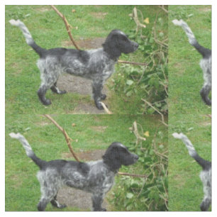black roan english_cocker_spaniel full.png fabric
