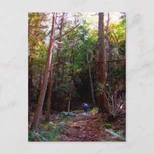 Black Rock Trails, Harriman State Park, New York Postcard