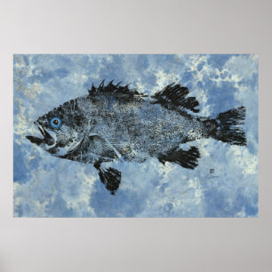 Black Rockfish On Blue - 36" x 24" Poster