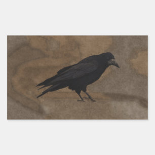 Black Rook British Corvid and Rustic Background Rectangular Sticker
