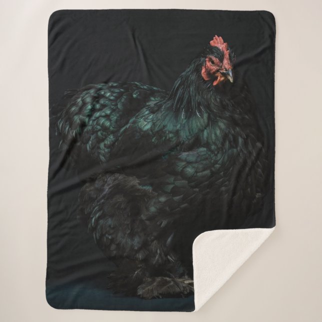 BLACK ROOSTER SHERPA BLANKET (Front)