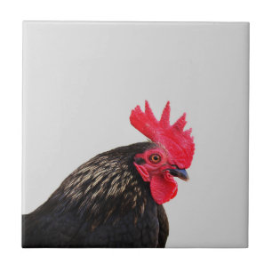 Black Rooster Tile