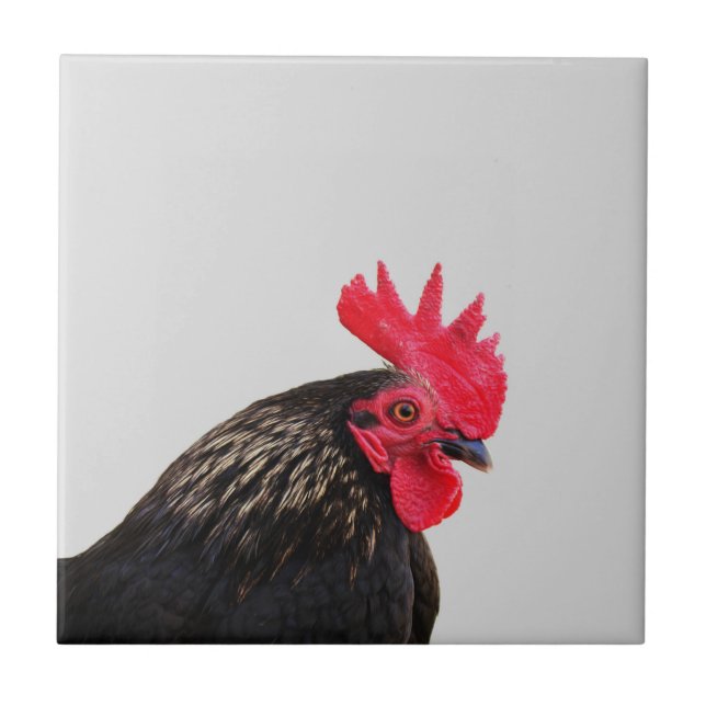 Black Rooster Tile (Front)