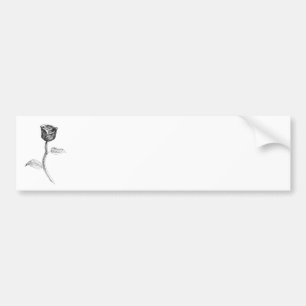 Black Rose. Bumper Sticker