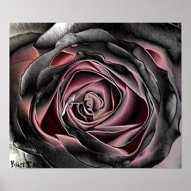 Black Rose Canvas Print Poster (Front)