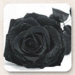 Black Rose Coaster