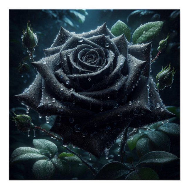 Black Rose Floral Poster (Front)