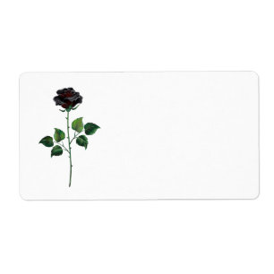 Black rose flower
