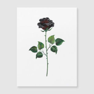 Black rose flower
