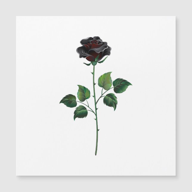 Black rose flower (Front)